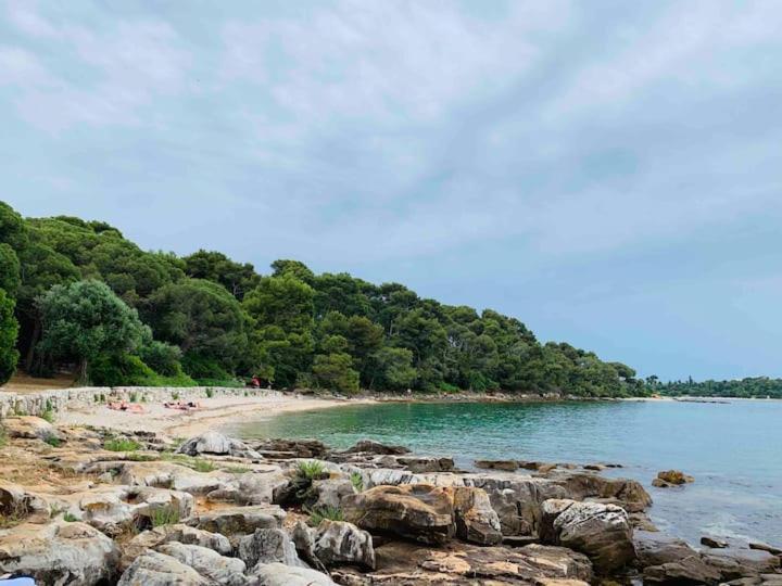 Feel The City Atmosphere Rovinj Exterior photo